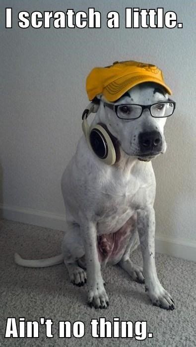 10 Dubstep memes ideas | dubstep, skrillex, edm