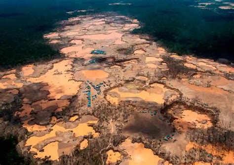 La minería ilegal en loreto, perú: ¿en qué consiste? — Grupo Casa Lima