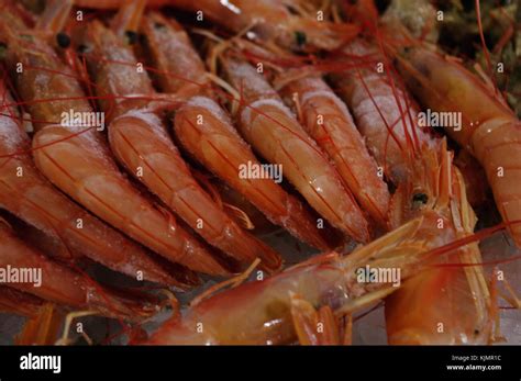 Exotic fresh foods at the market Stock Photo - Alamy