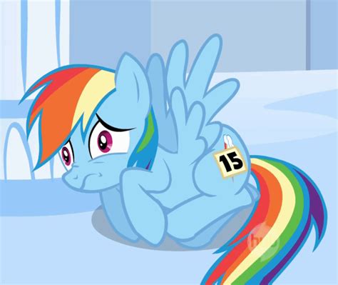 Image - Scared Rainbow Dash S1E16.gif | My Little Pony Fan Labor Wiki ...