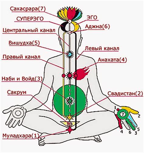 энергетические каналы человека Часть 1 - Чакры (общее) - Материалы I ...