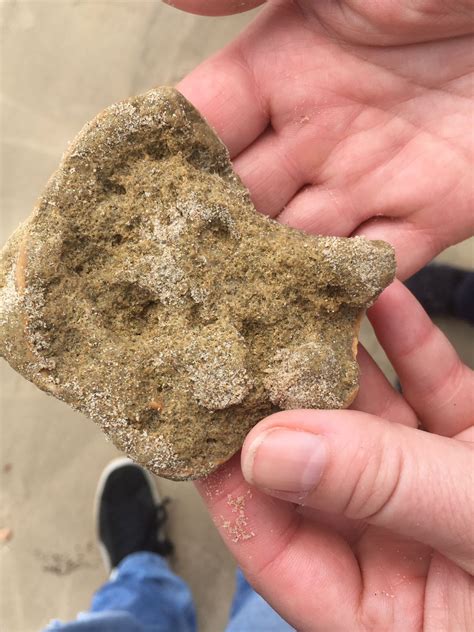 ID needed: Rock found near Sevilla - Fossil ID - The Fossil Forum