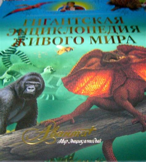 Книга: Гигантская энциклопедия живого мира - Тина Канделаки. Купить ...