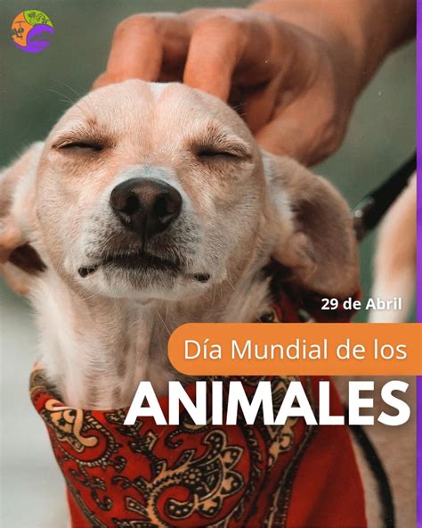 Sarmiento celebró el Día Mundial de los Animales con una jornada