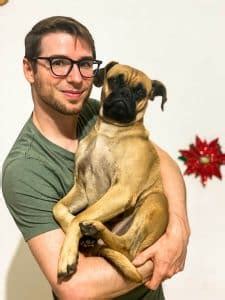 how to say dog in spanish