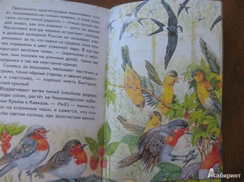 Книга: Сказки - Максим Горький. Купить книгу, читать рецензии | Лабиринт