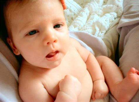 TOO CUTE 2 Free Stock Photo | FreeImages