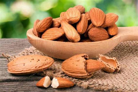 bitter almonds vs sweet almonds properties and differents - Arad Branding