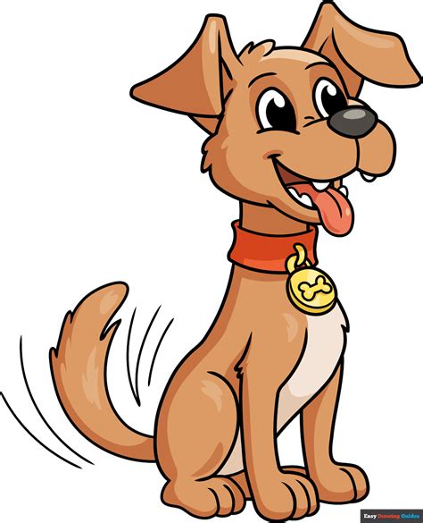 Why Dogs Wag Their Tails When Theyre Happy