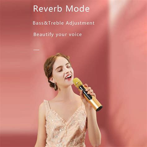 Professional UHF Wireless Microphone Crystal Clear Sound Noise