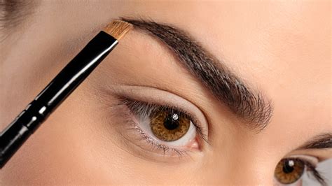 eyebrows  filled   makeup makeupviewco