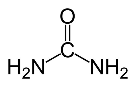 Uremia