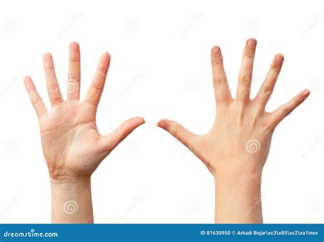 human hands stock photo image  agree background raise