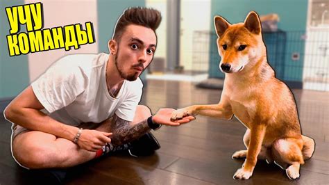 МОЯ СОБАКА ВПЕРВЫЕ УЧИТ КОМАНДЫ! - YouTube