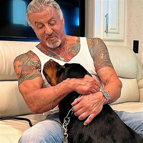 Sylvester Stallone Covers Up Tattoo of His Wife with Ink of Late Dog