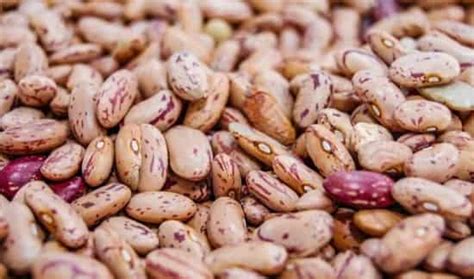 Щитовидная железа продукты которые нужны для ее здоровья!