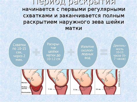 Как происходит проверка раскрытия шейки матки при родах, почему она ...