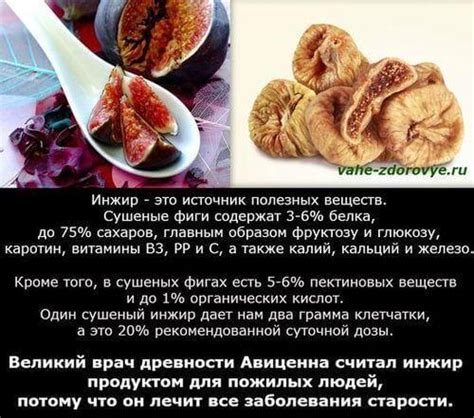 Инжир польза и вред, калорийность. Чем полезна фига для мужчин и женщин
