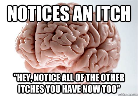 NOTICES AN ITCH "HEY, NOTICE ALL OF THE OTHER ITCHES YOU HAVE NOW TOO ...