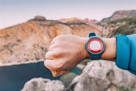 custom smartwatch screen solutions  ink oled memory lcd