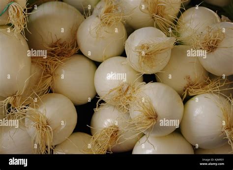 Exotic fresh foods at the market Stock Photo - Alamy