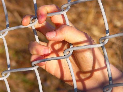Hang On Free Stock Photo | FreeImages