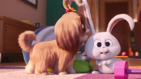 Mascotas 2 Tráiler (3) VO - SensaCine.com