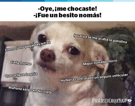 Pinches perro | •Anime• Amino