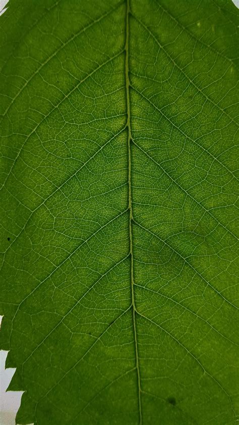 Bar Paly : r/ladyladyboners