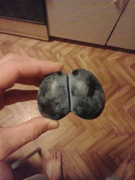 Это всего лишь слива) | Немного пошло,но мило...;)! | ВКонтакте
