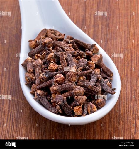 clove  res stock photography  images alamy
