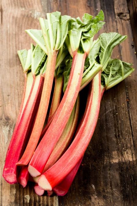 What We’re Planting in Our Vegetable Garden - Florissa