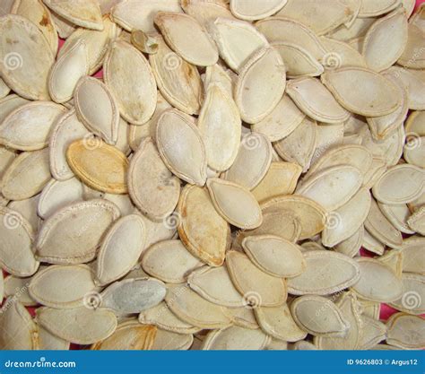 Pumpkin Sunflower Seeds Cucurbita Pepo Stock Image - Image of tasty ...