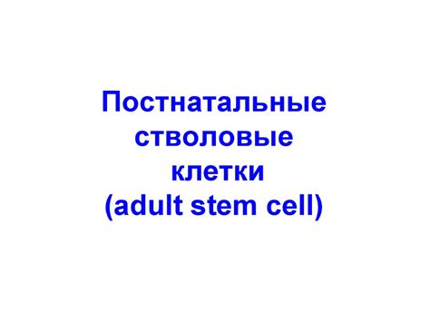 Стволовые клетки. Природа, функции, классификация и проблемы клеточной ...
