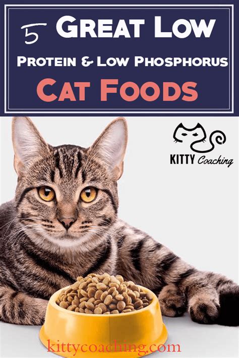 Low Protein & Low Phosphorus Cat Food Reviewed | Cat food reviews, Low ...
