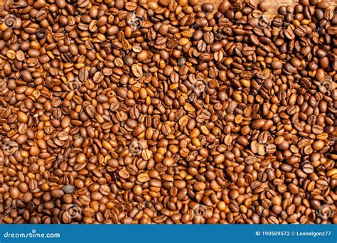 Experience Pour-Over Coffee at Its Finest: Artisanal Roasted Beans - Poursteady Utilities
