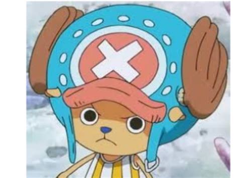 Você sabe quais as frutas de Cada Personagem de One Piece usa? | Quizur