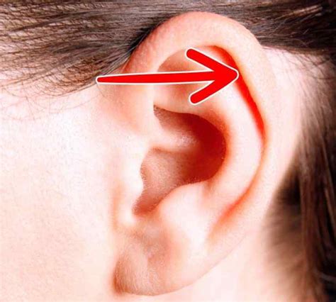 15 Parts of the Human Body That Will Disappear in the Future
