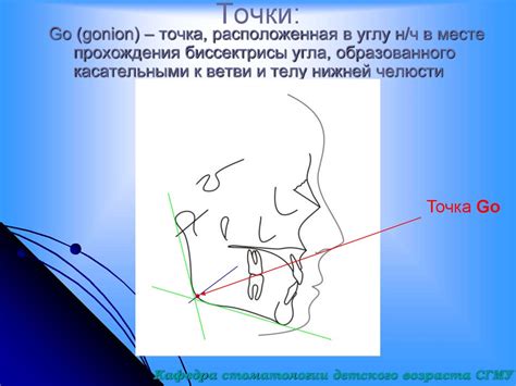 Анализ ТРГ в клинике ортодонтии - презентация онлайн