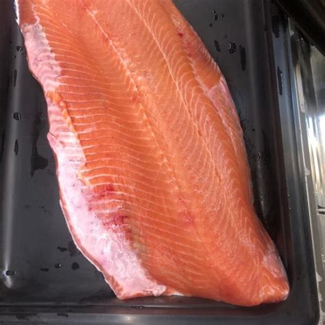 Fresh Steelhead - Seafoods of the World | Fresh Fish Market | Billings, MT