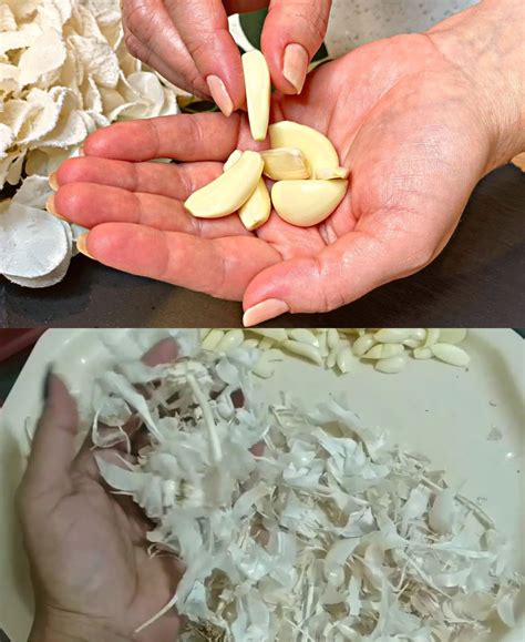 Garlic peels: don’t throw them away, they’re worth gold! You have no