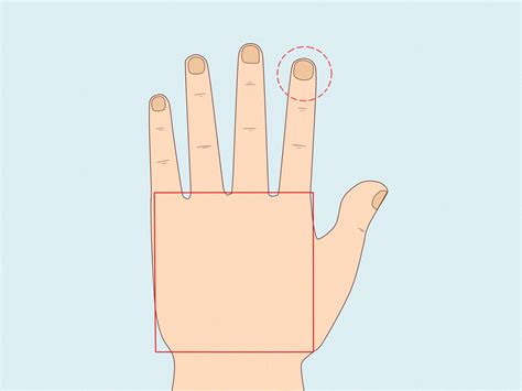 Types of Elemental Hands in Palmistry: Shape & Personality