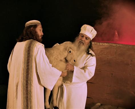 levitical sacrifices explained