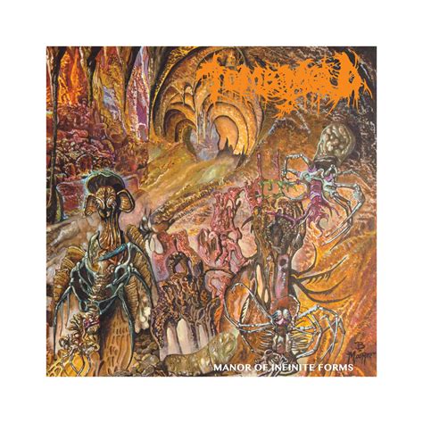 Tomb Mold - Manor of Infinite Forms LP (color vinyl) – Heavy and Fast
