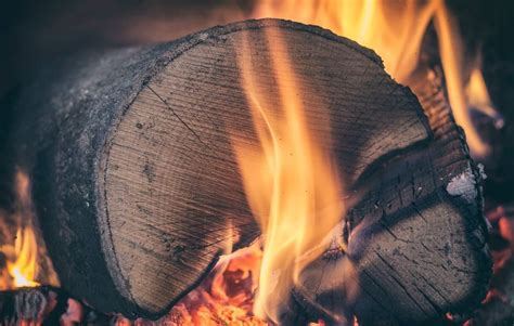 5 Eco-Friendly Fuel Alternatives To Coal. - Salamander Stoves