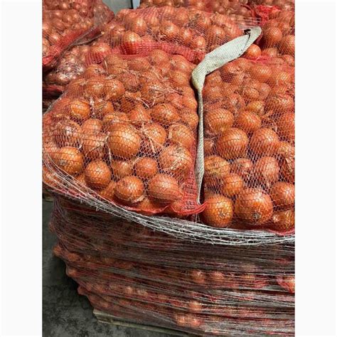 Продам лук оптом! 2025 Киев! Лучшее качество — Agro-Ukraine