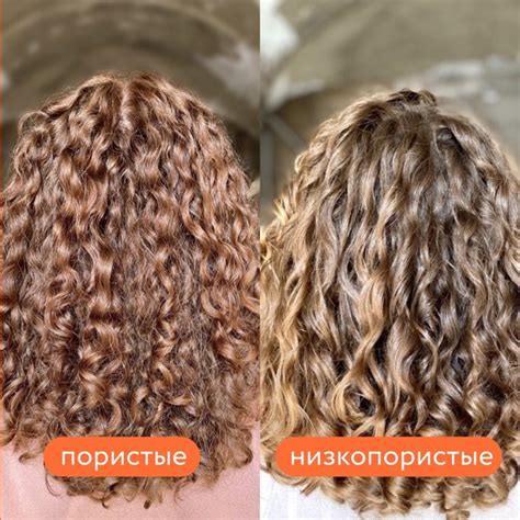 Пористые VS низкопористые волосы: главные отличия Определить пористость ...