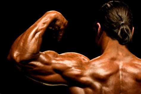 » Hypertrophy Seminar in NYC
