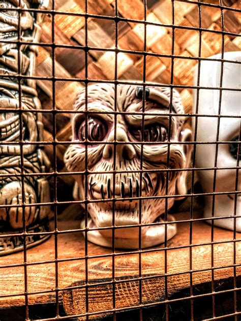 Wilfred's Lounge - Happy Hour Napa