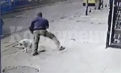 Задържаха мъжа, наръгал куче, откриха в дома му оръжия и боеприпаси ...